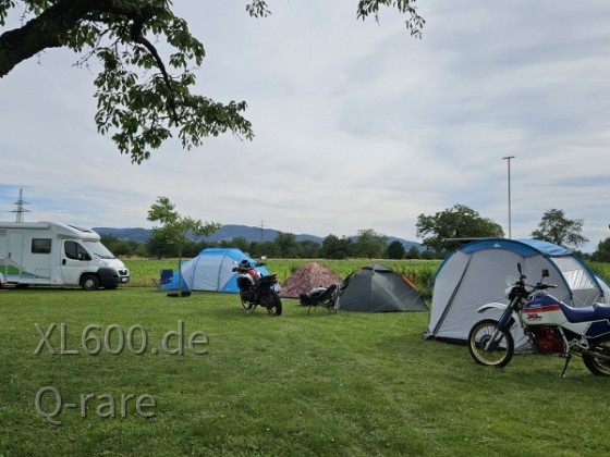 Treffen Süd 2024 - Rheinfelden-Herten